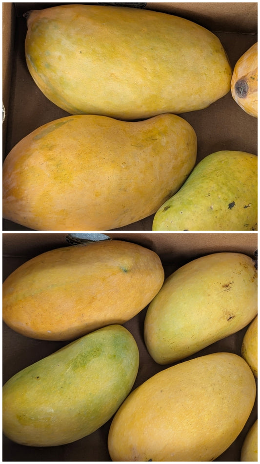 Premium Mangoes 2 KG Box