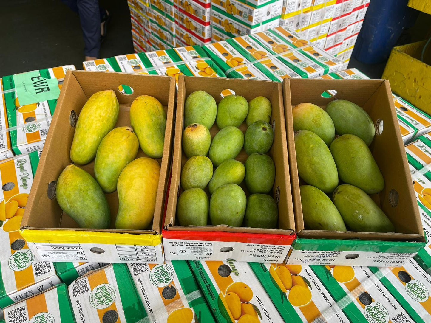 Premium Mangoes 2 KG Box